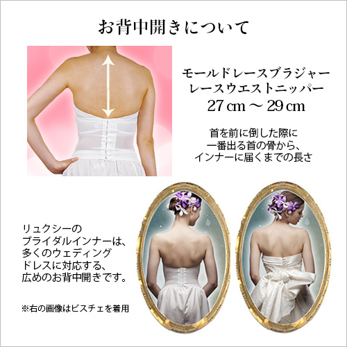 ブライダルインナーLuXY インナーの背中開き